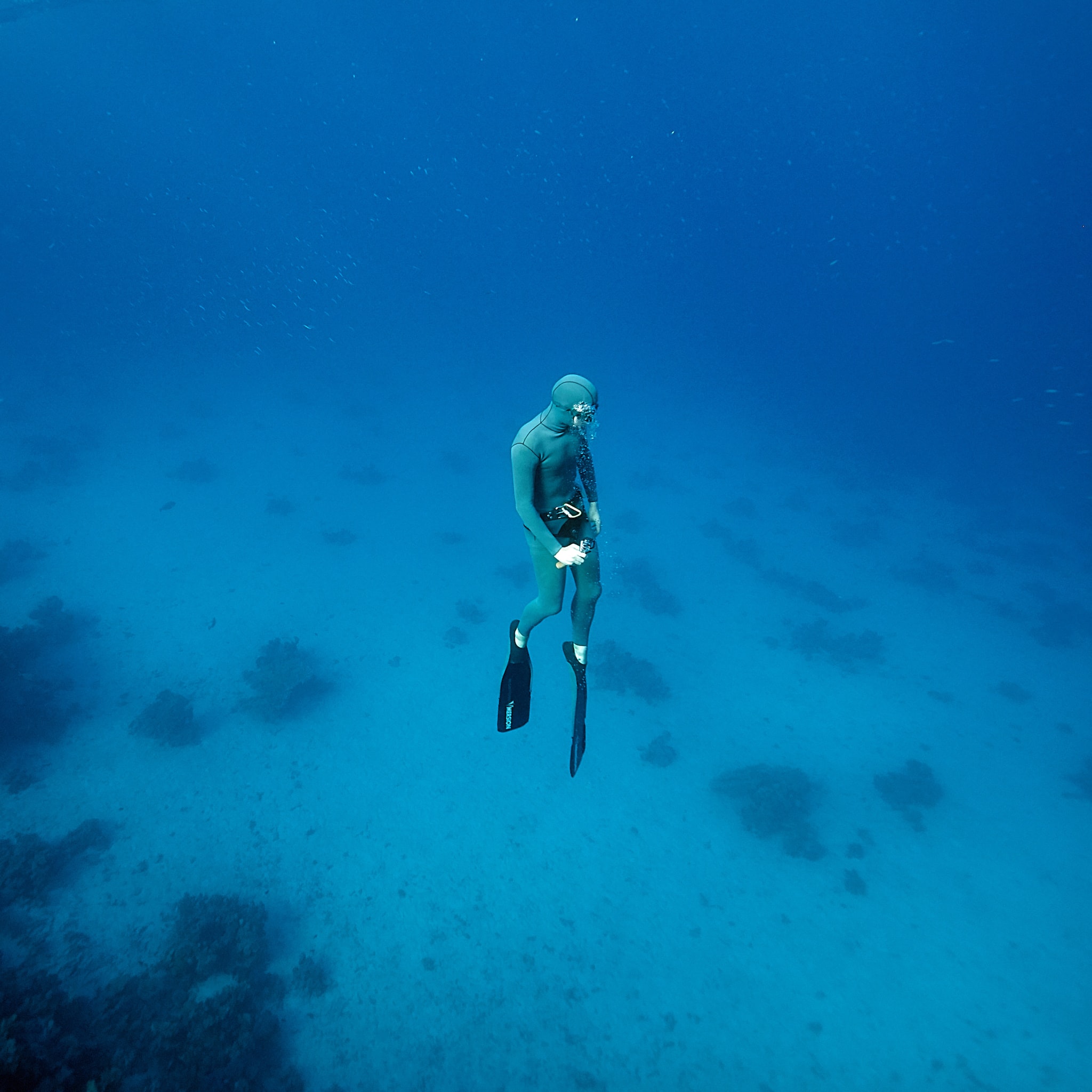 Kristian Dill Photographe Aquatique Apnee Combinaison Masque Palme Sable Coraux Mer Rouge