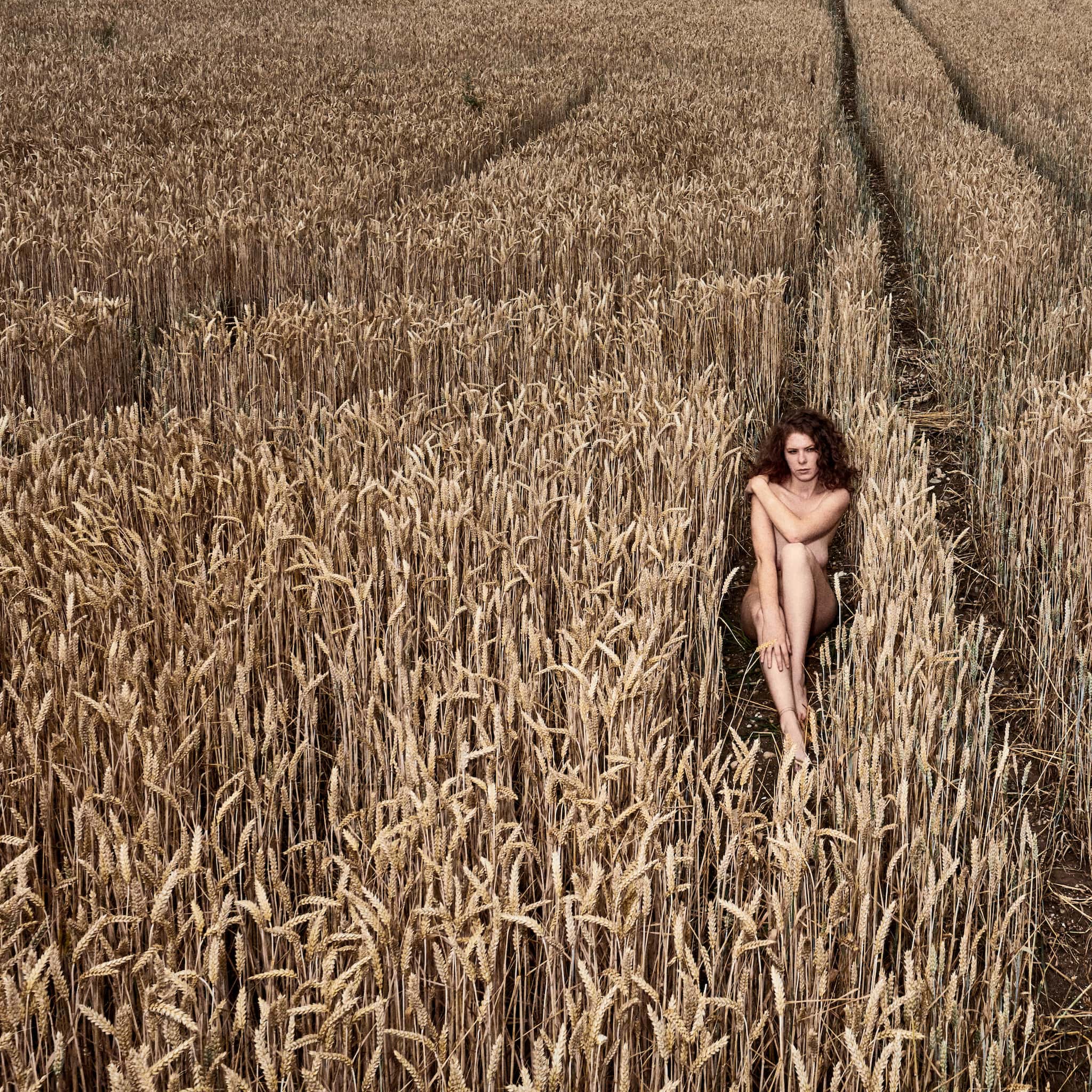 Kristian Dill Photographe NuScape Nu Nature Cereale Ble
