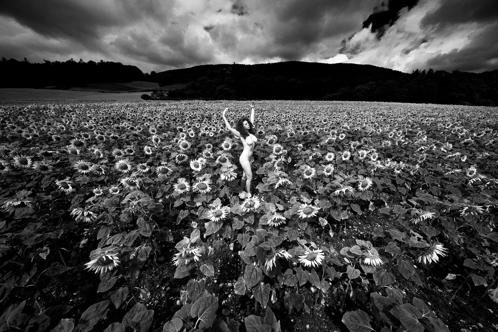 Kristian Dill Photographe NuScape Nu Nature Champ Tournesol Nuage