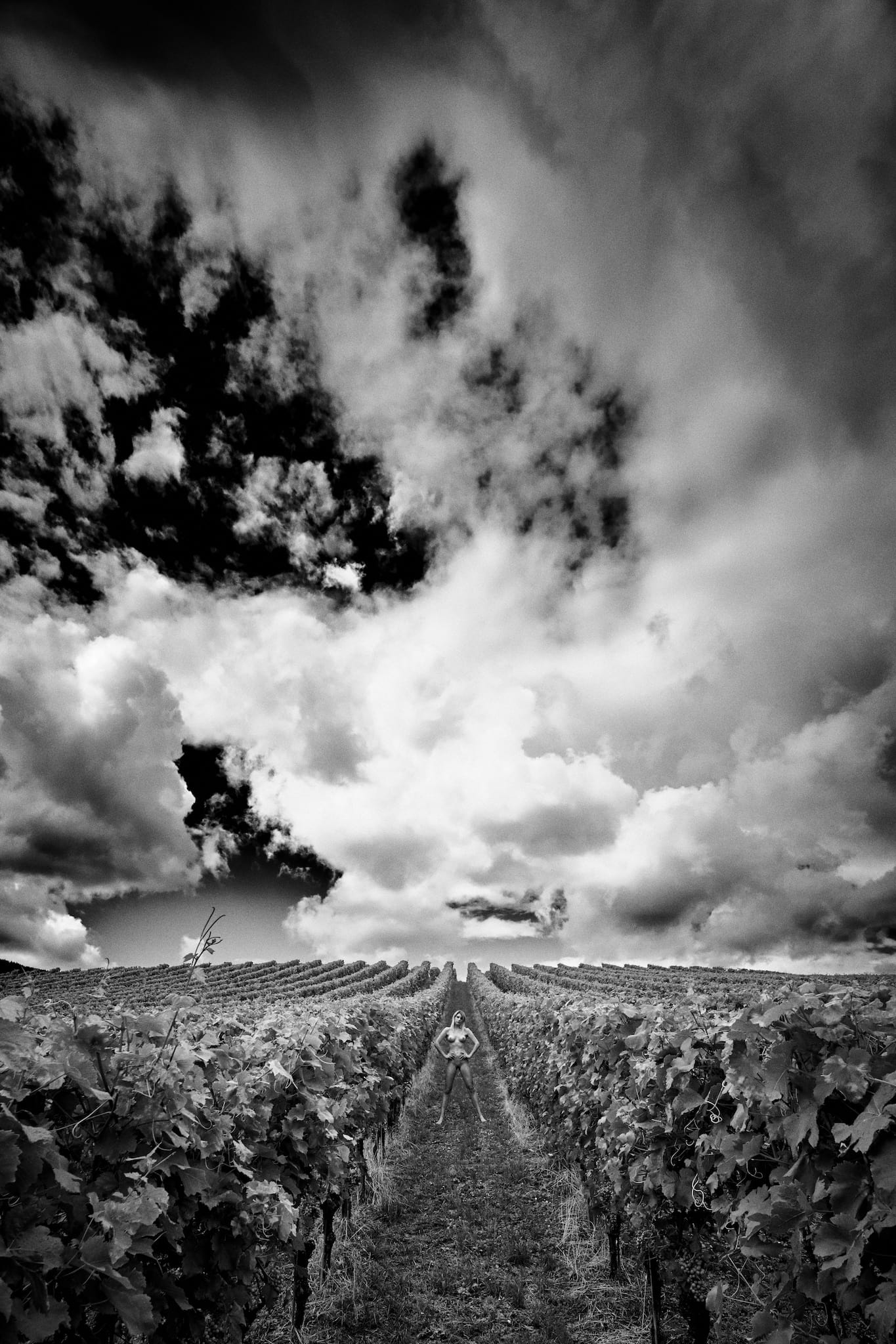 Kristian Dill Photographe NuScape Nu Nature Vigne Raisin Cep Nuage