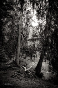 Cedric Favero Workshop Grisons 2022 2 640px