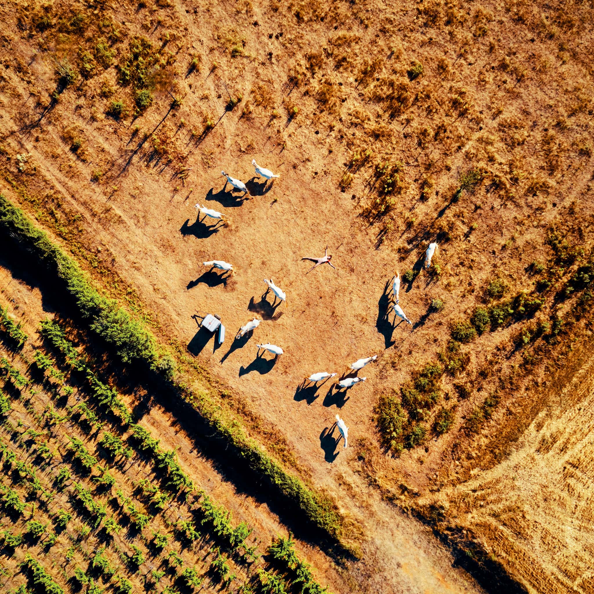 Kristian Dill Photographe Projet NuSky Drone Aerien Nu 20190803