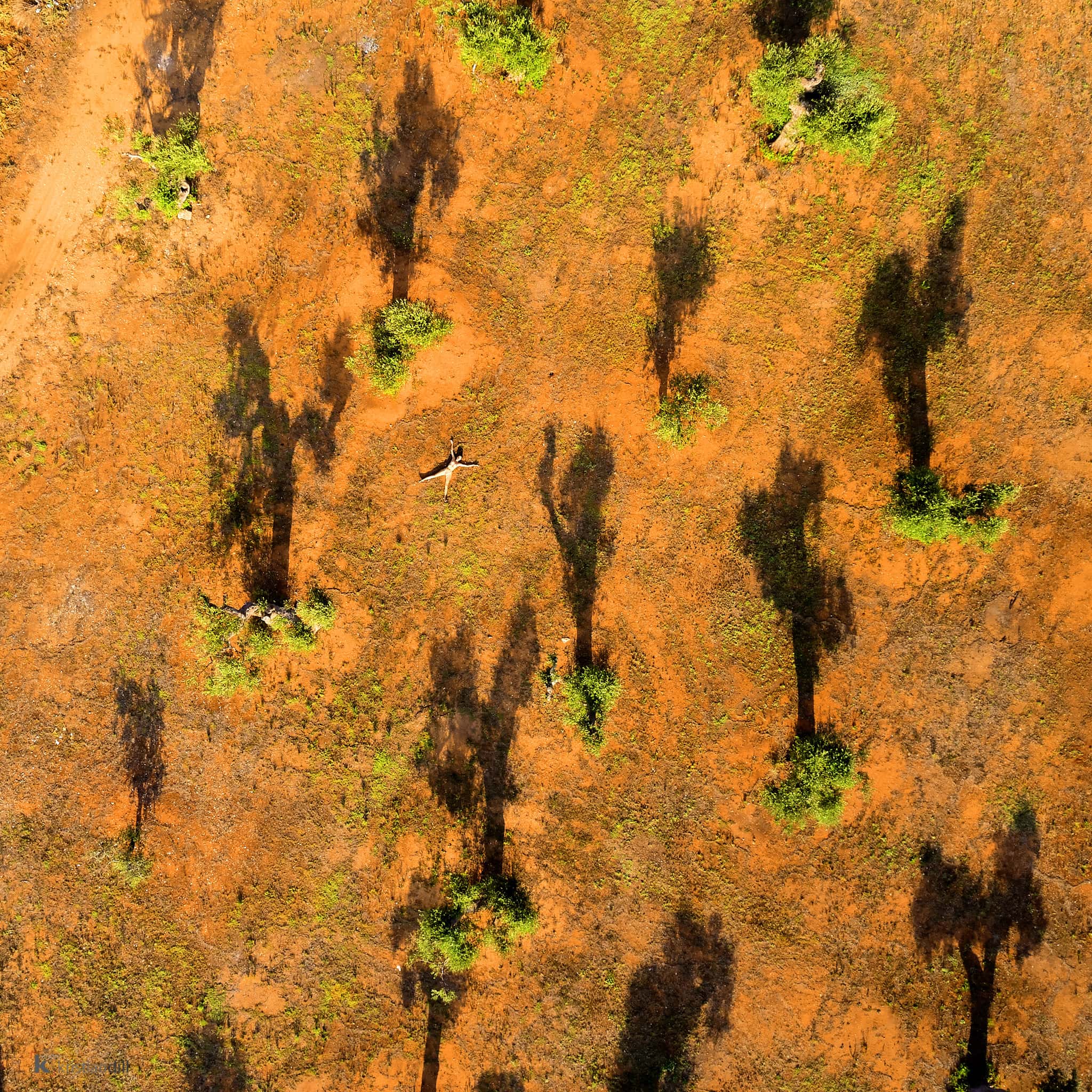 Kristian Dill Photographe Projet NuSky Drone Aérien Nu 20180921